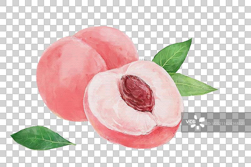 水彩水蜜桃图片素材