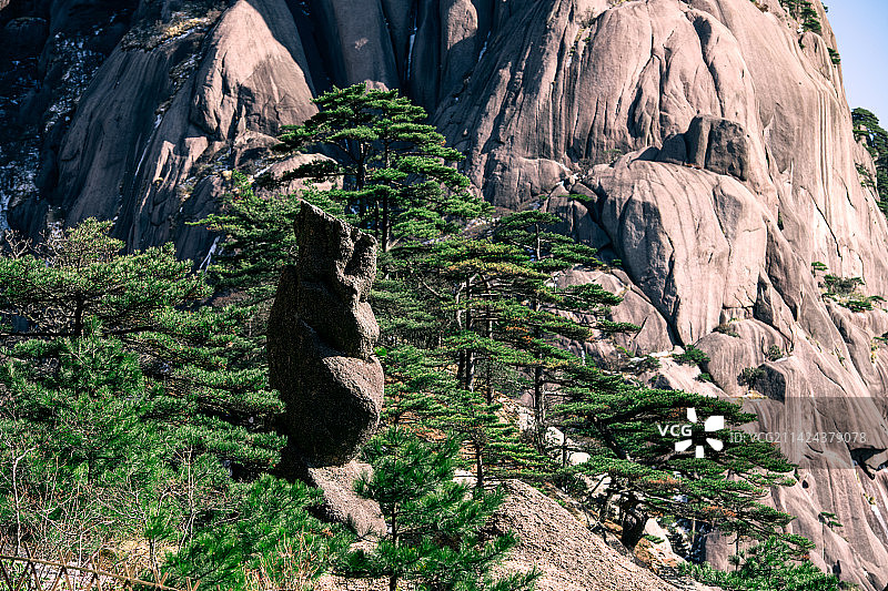 冬游黄山图片素材