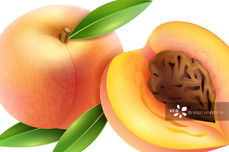 逼真桃子图片素材