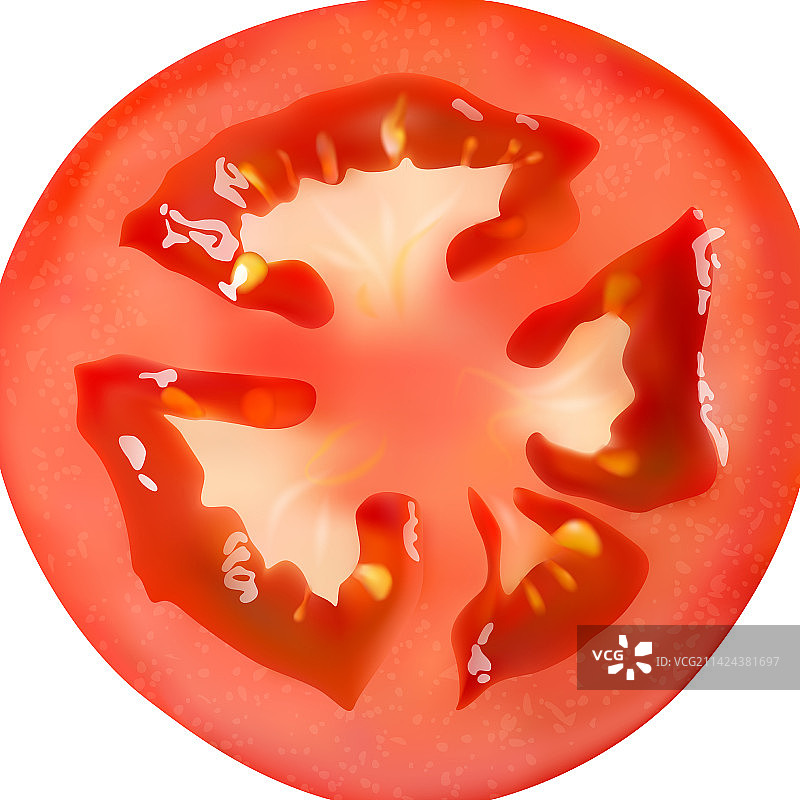 逼真番茄图片素材