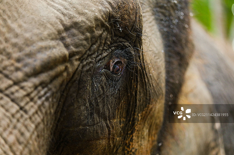 野象谷图片素材