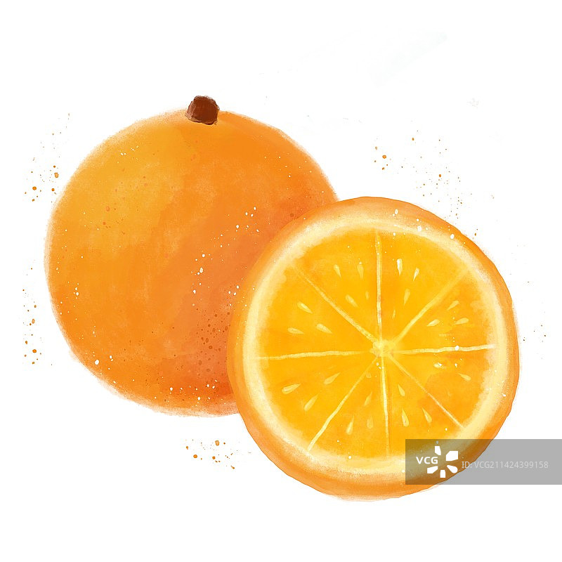 橙子水果插画图片素材