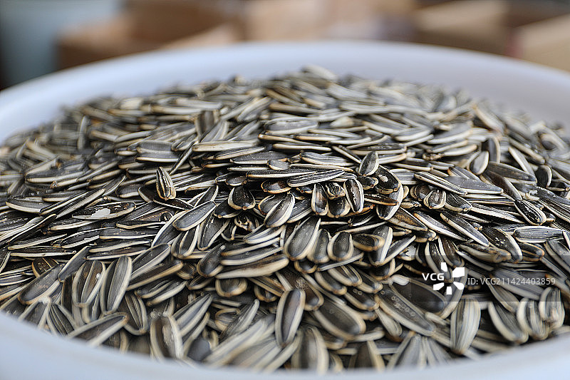 一盘瓜子图片素材