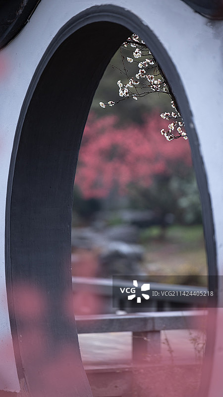 梅韵风流图片素材