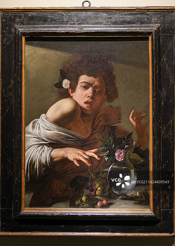 卡拉瓦乔 《被蜥蜴咬伤的男孩》 英国国家美术馆 上博特展图片素材