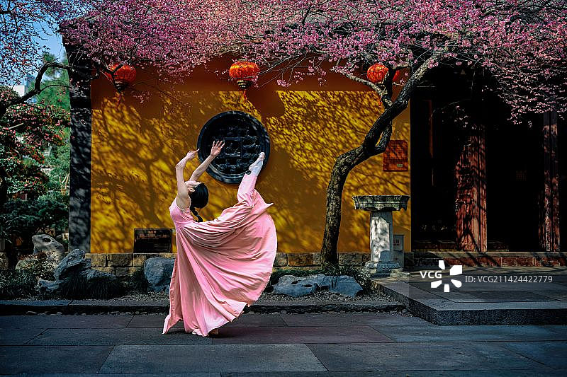 花开铁佛寺图片素材