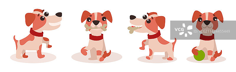 有趣的杰克罗素梗犬幼犬，带有可爱的鼻子图片素材