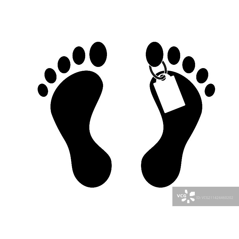 肉桂图标图片素材