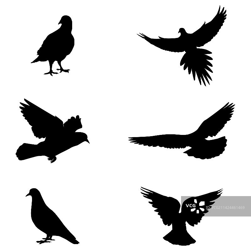 鸽子剪影图片素材
