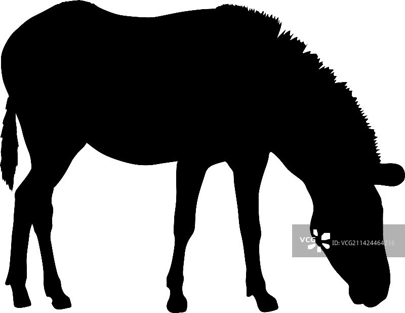 白色背景上的非洲斑马剪影图片素材