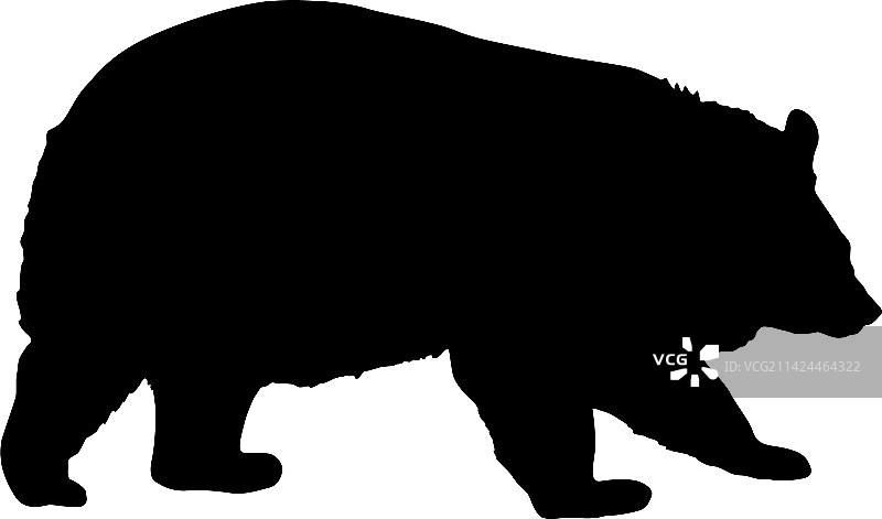 白色背景上的棕熊剪影图片素材