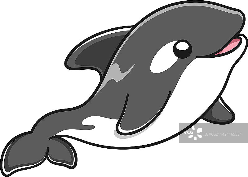 可爱的逆戟鲸卡通剪贴画图片素材