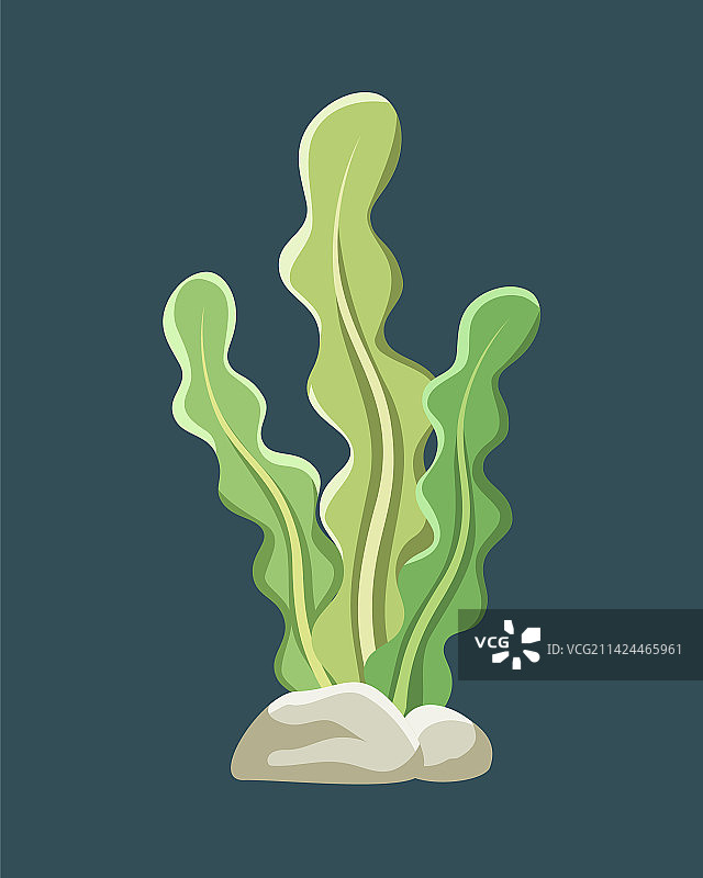 水下海藻剪贴画图片素材