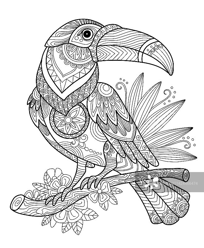 巨嘴鸟成人抗压填色页图片素材
