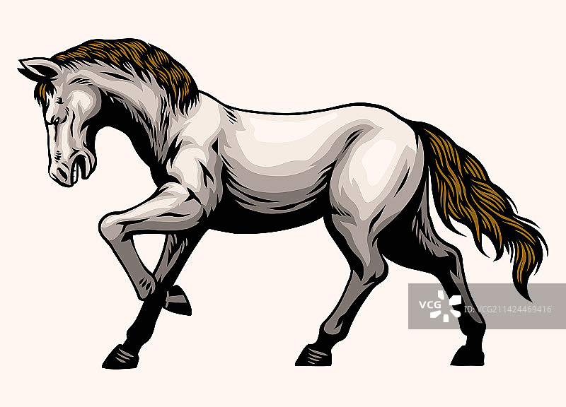 手绘白马图片素材
