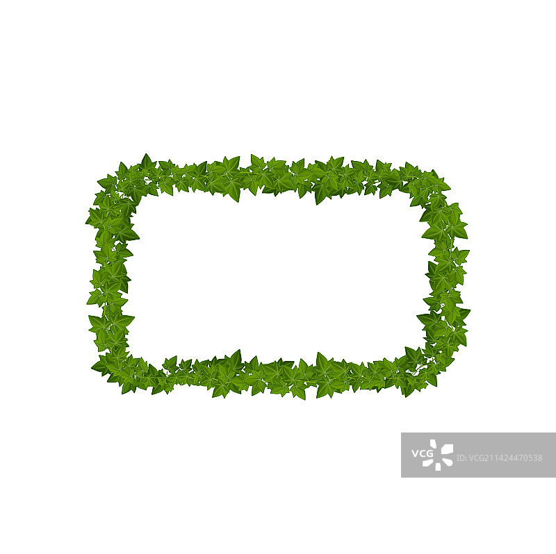 藤蔓和常春藤绿叶边框图片素材