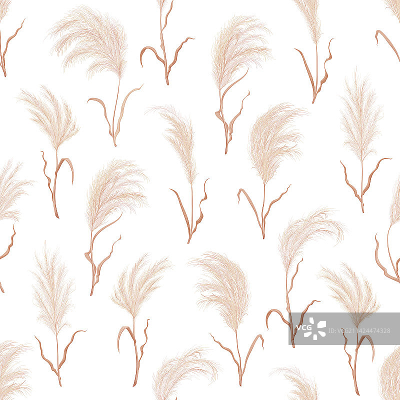 蒲苇无缝图案背景图片素材