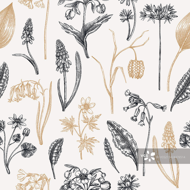 手绘彩色野花背景图片素材