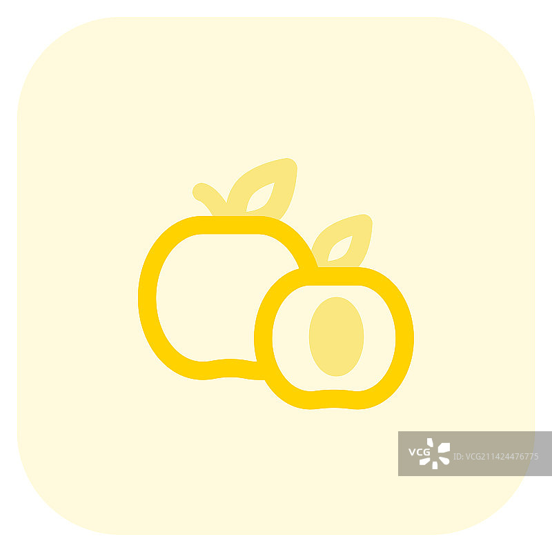 诱人多汁的杏子图片素材