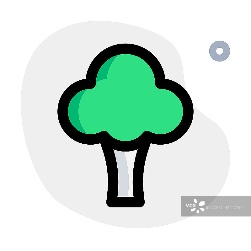 受欢迎的绿色西兰花图片素材