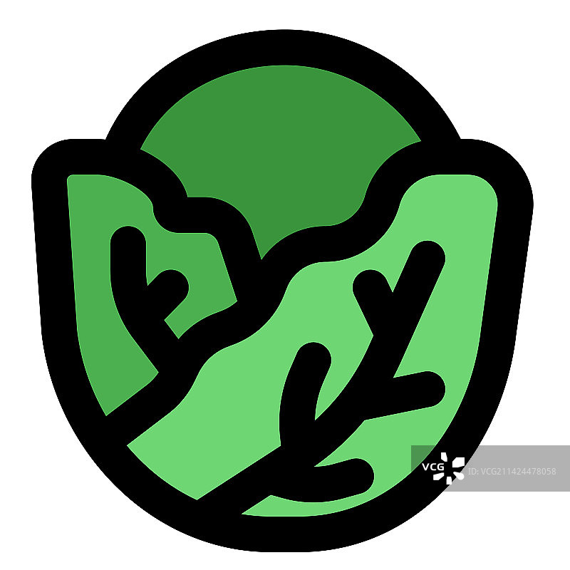 主要用于沙拉的生白菜图片素材