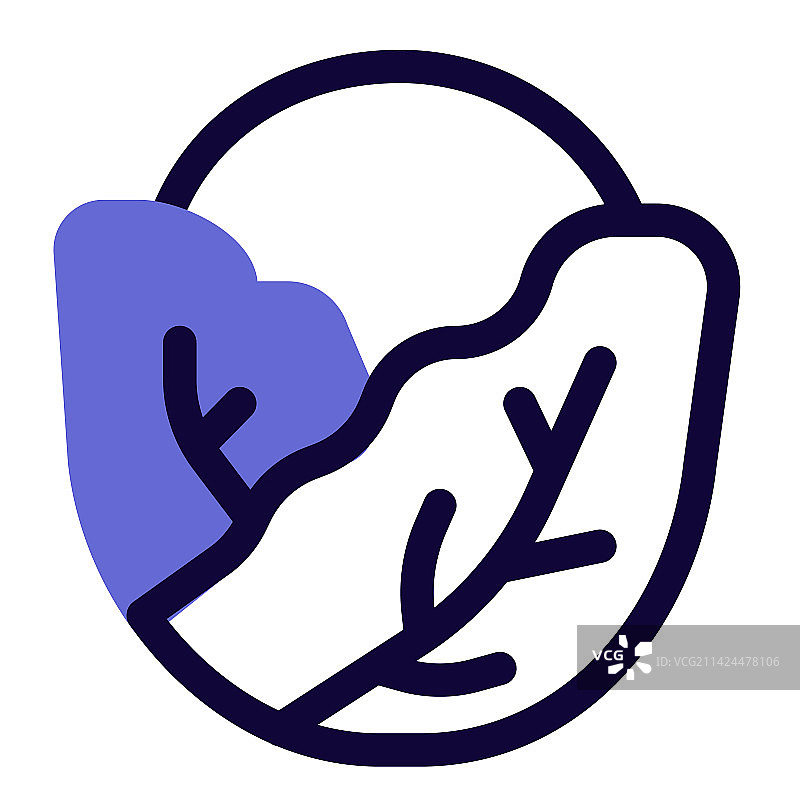 主要用于沙拉的生白菜图片素材