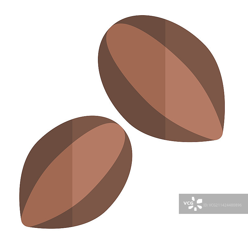 可可粉发酵种子图片素材