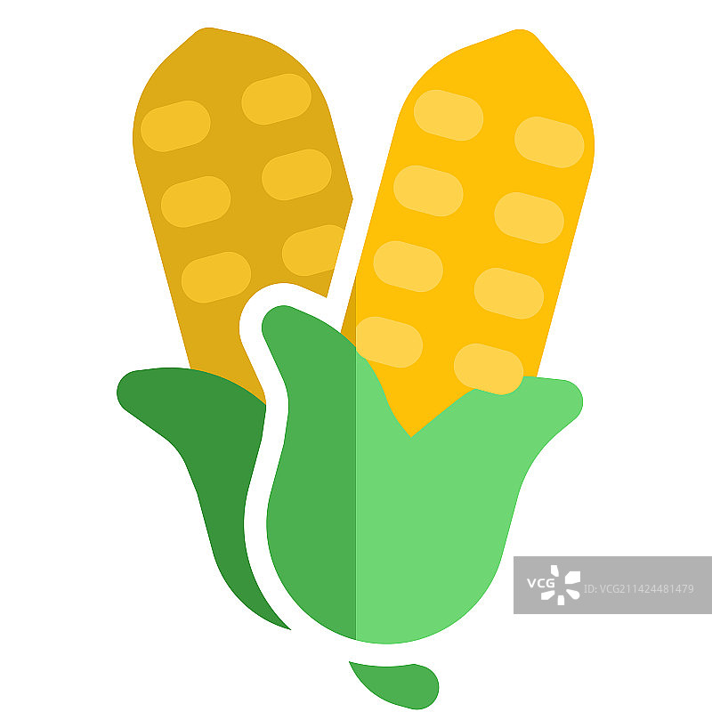 用作配料的玉米粒图片素材