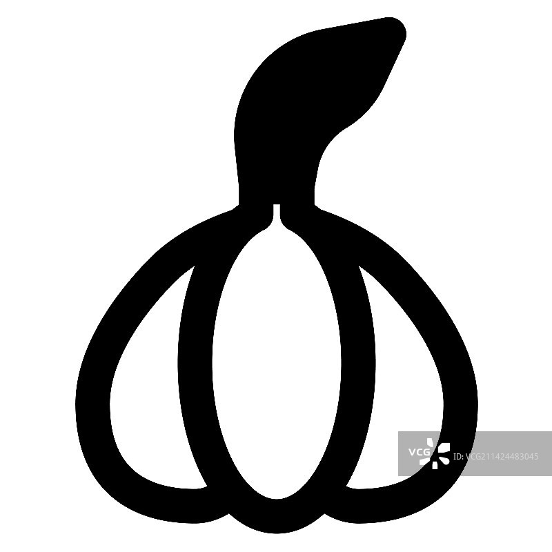 为食物增添风味和香气的大蒜图片素材