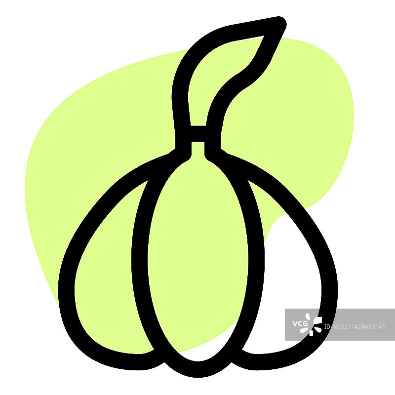 为食物增添风味和香气的大蒜图片素材