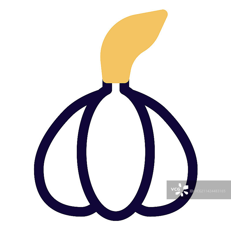 为食物增添风味和香气的大蒜图片素材