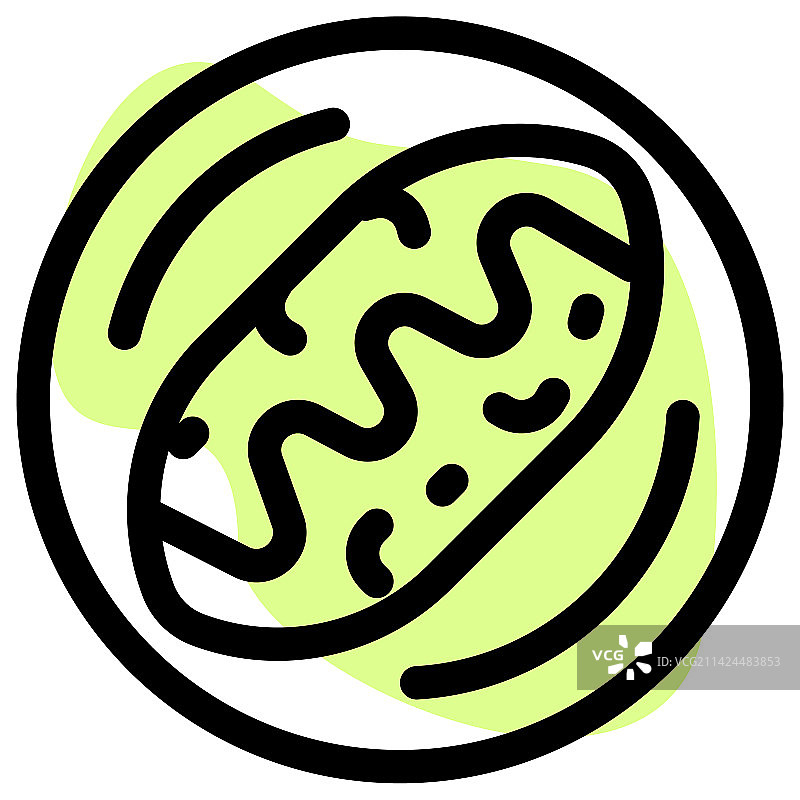 墨西哥瓦拉切饼美食线条图片素材