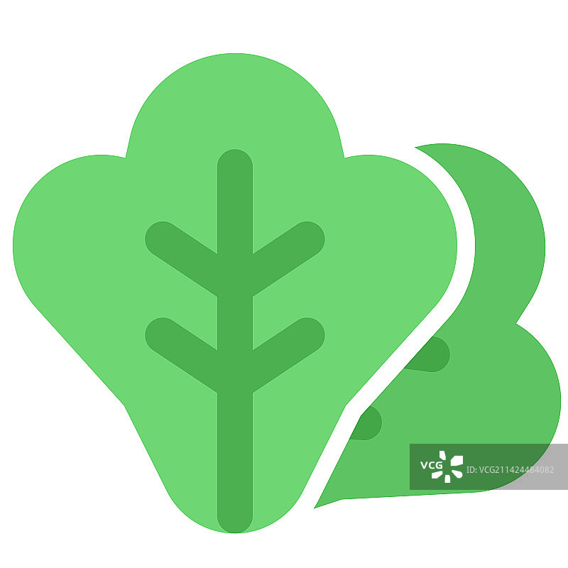 用作沙拉配料的新鲜生菜图片素材