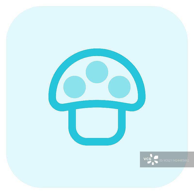 富含维生素的新鲜蘑菇图片素材