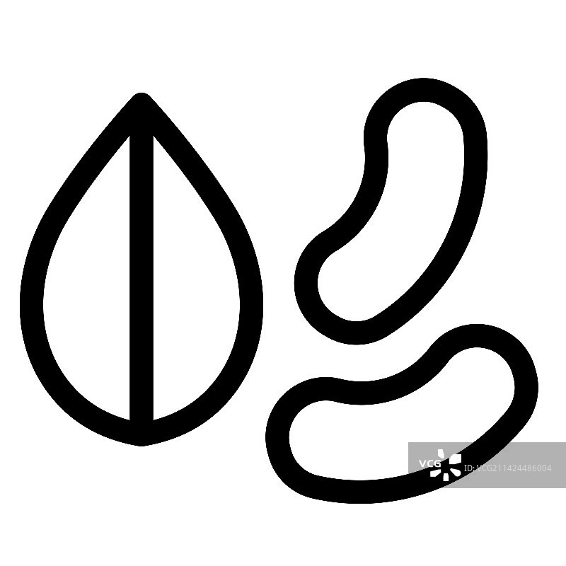 具有多种益处的天然混合果干图片素材