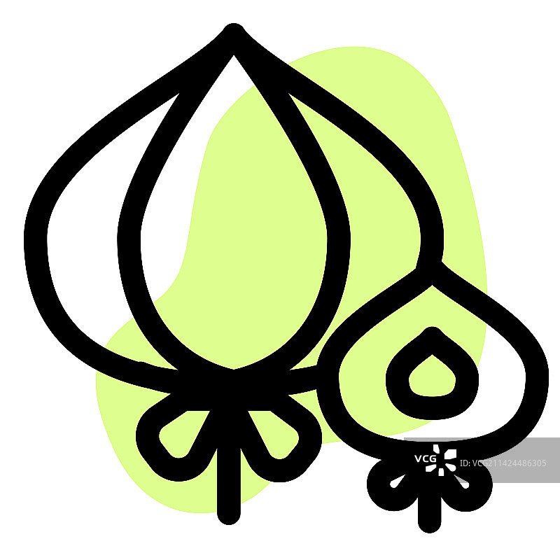 用于提升食物风味的洋葱图片素材