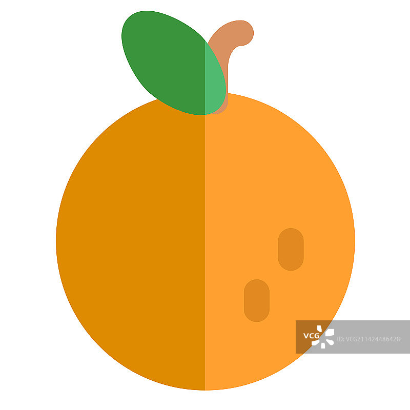 美味成熟富含维生素C的橙子图片素材