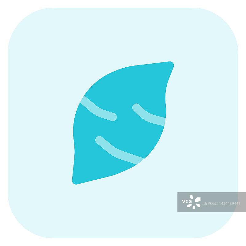 具有抗氧化特性的甘薯图片素材