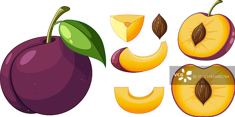 完整的和切片的李子图片素材