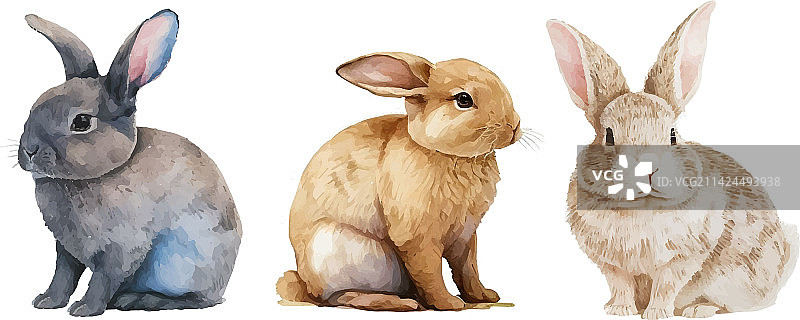 可爱的灰色蓬松兔子水彩画图片素材