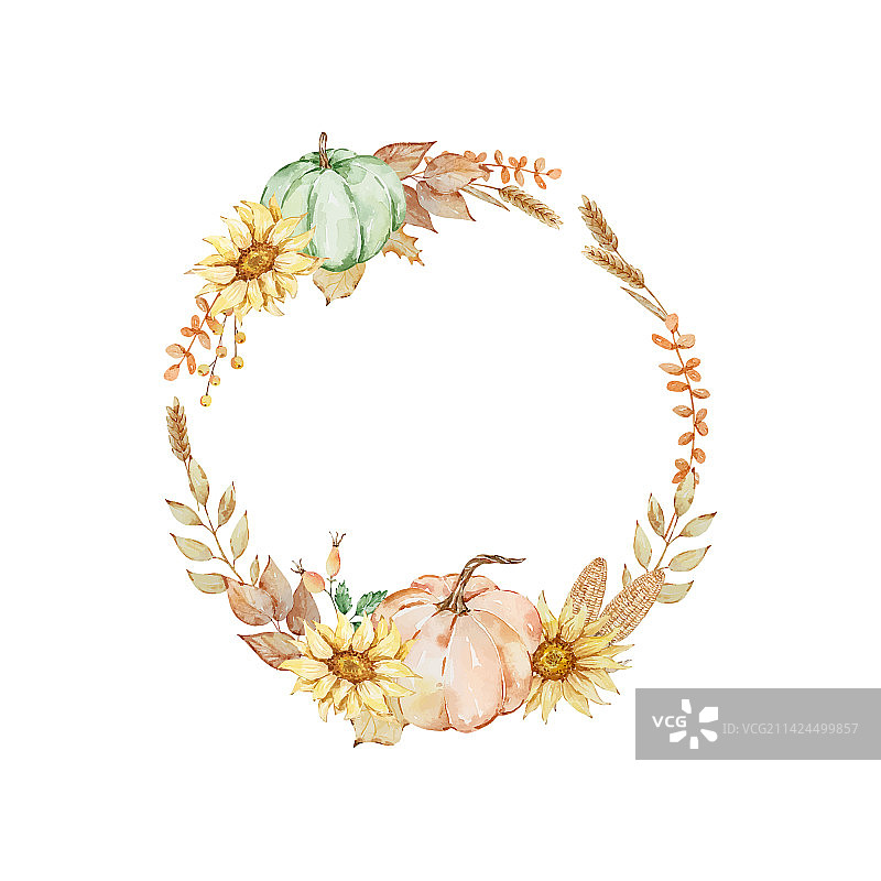 水彩南瓜秋季花环图片素材