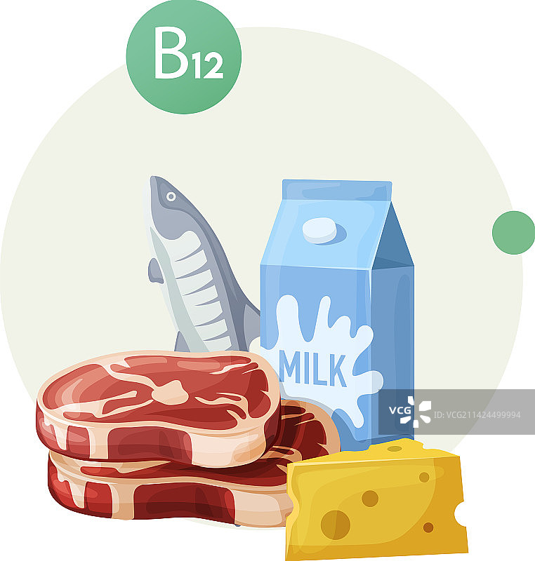 健康维生素B12天然食物来源图片素材