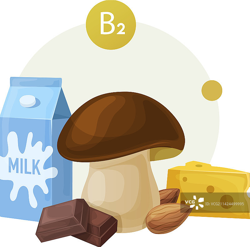 富含维生素B2的天然食物来源图片素材