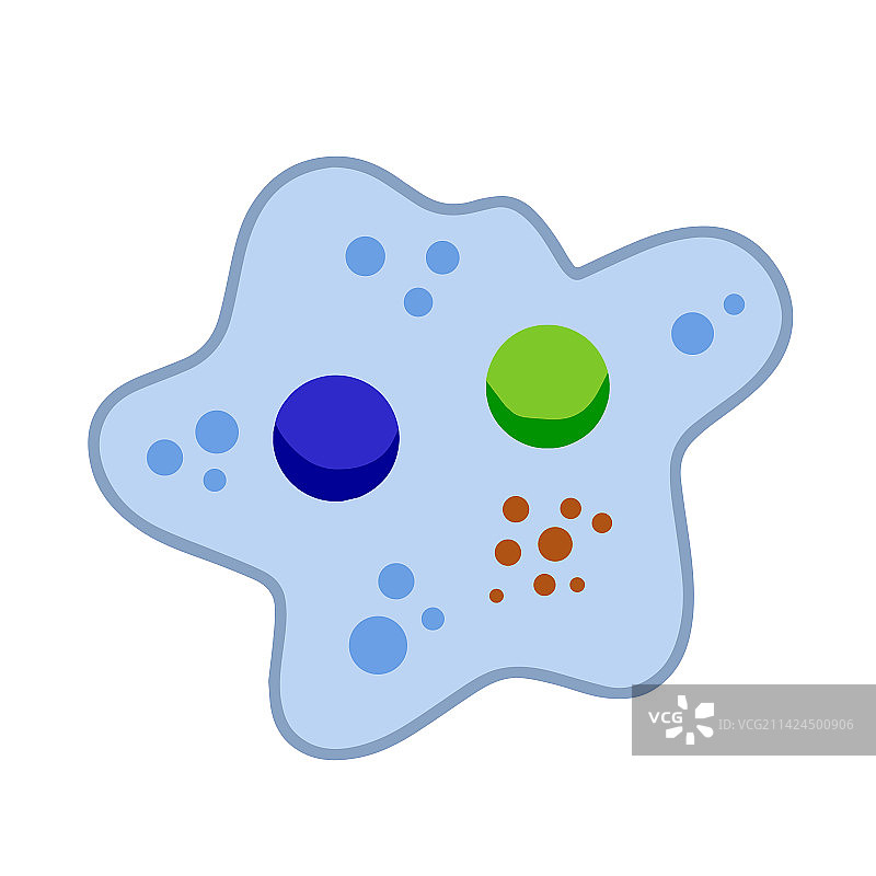 单细胞动物变形虫细胞图片素材