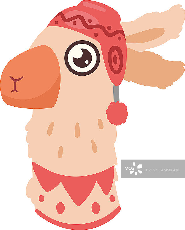 戴帽子的秘鲁羊驼图片素材