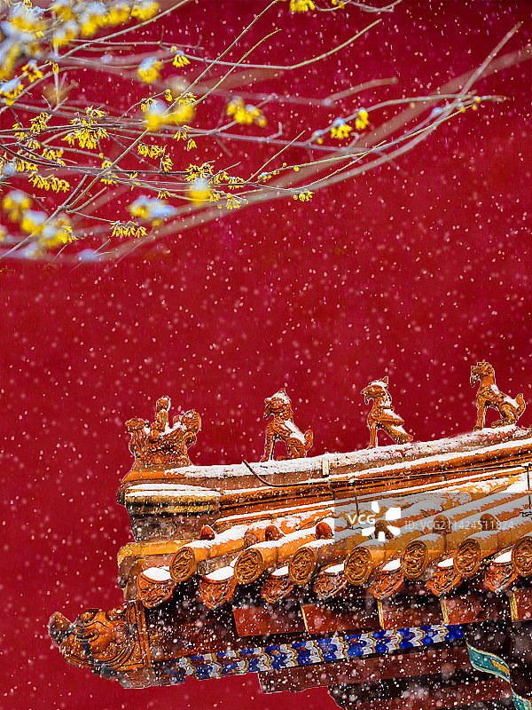 山东泰山岱庙雪景梅花屋檐古建筑红墙金瓦图片素材