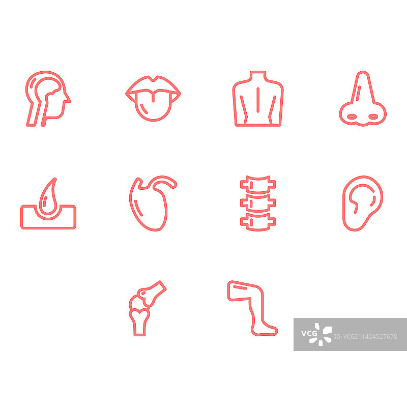 身体部位图标集图片素材