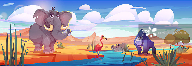 非洲稀树草原动物饮水场景图片素材