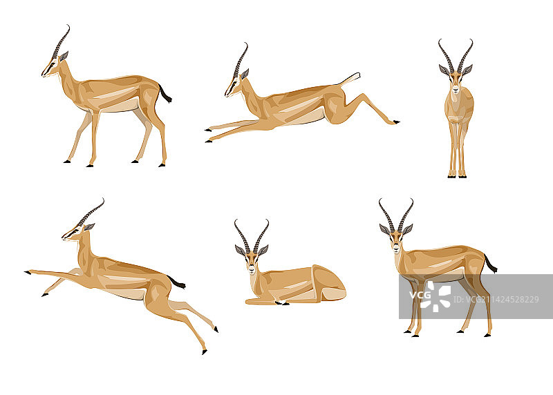 羚羊合集图片素材