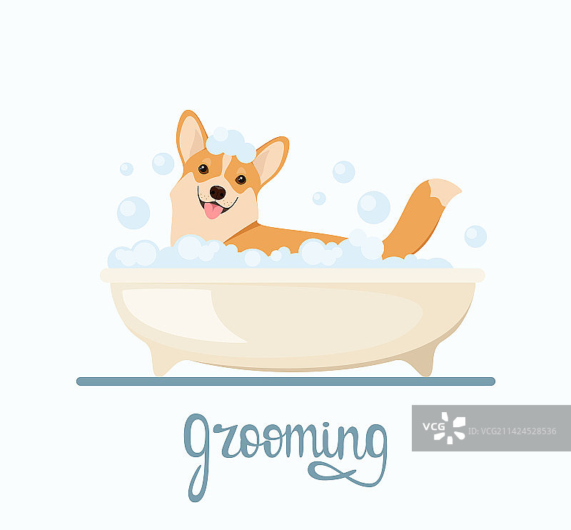 宠物美容图片素材